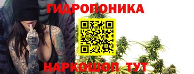 PSILOCYBIN Кимры